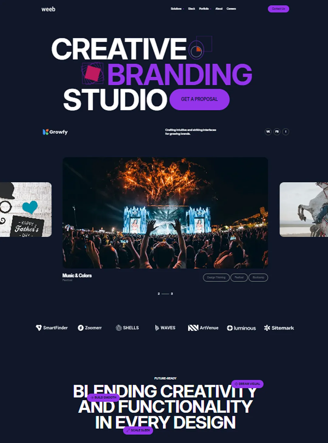 Website growfy